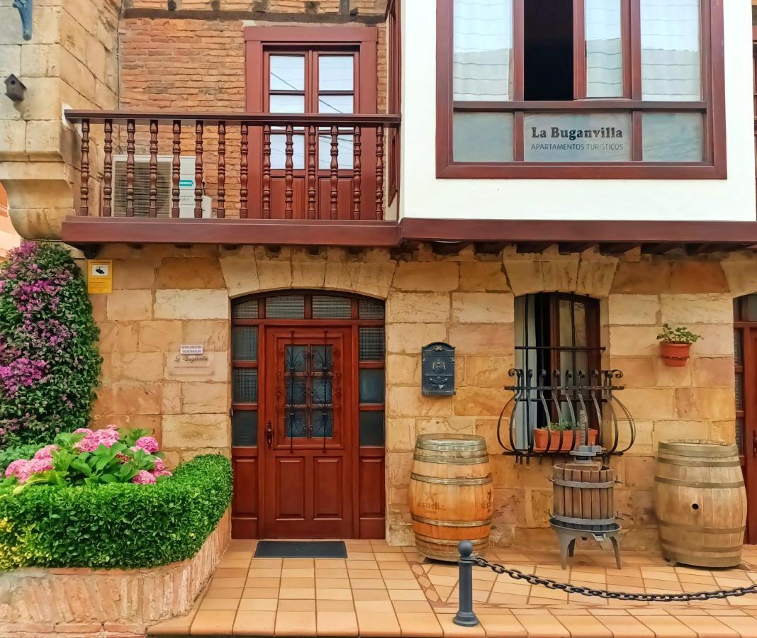 Apartamentos La Buganvilla نوفاليس المظهر الخارجي الصورة